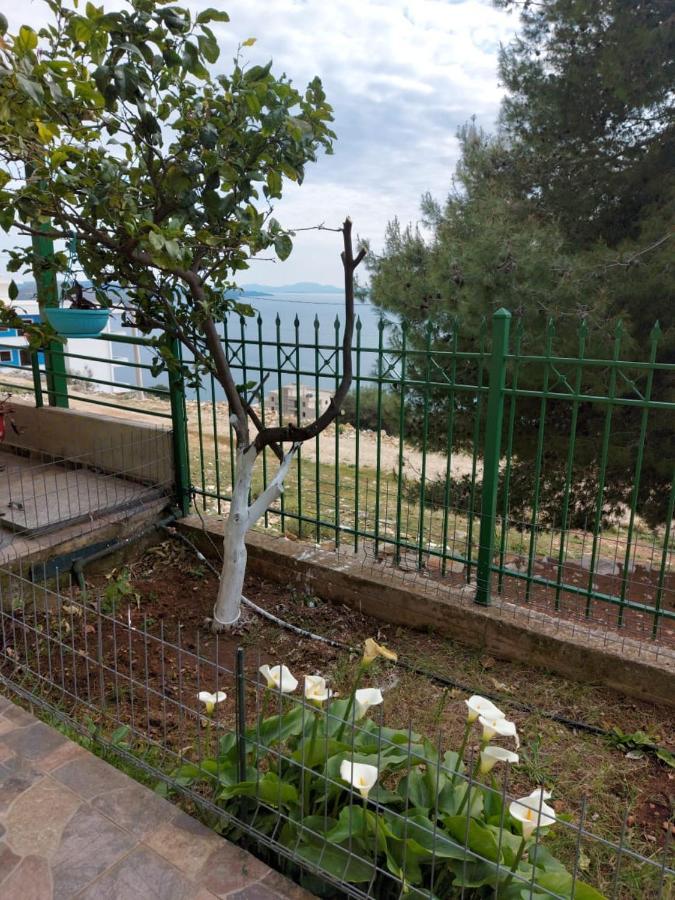 סרנדה Villa Luiza מראה חיצוני תמונה